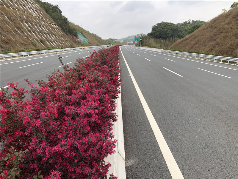 惠清高速公路與管理中心園林景觀工程
