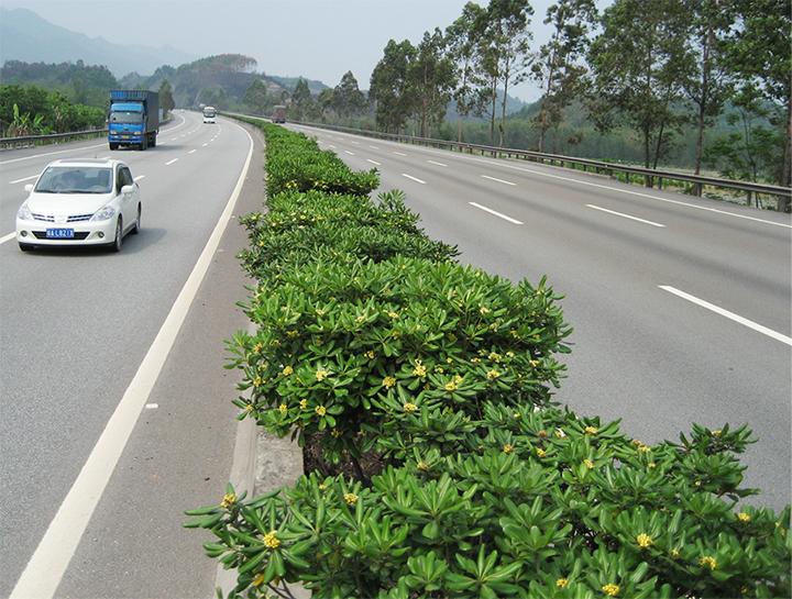 京珠南高速公路綠化工程